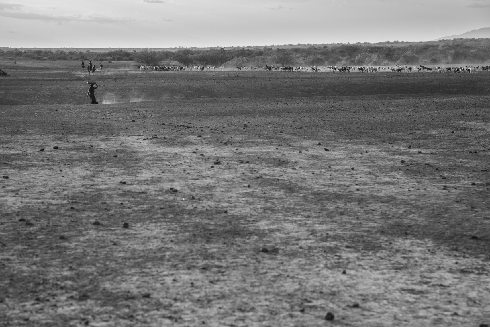 012_5D7A4441-Edit_1