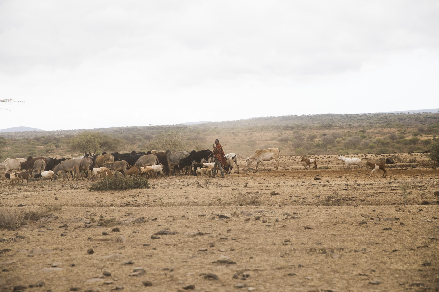 calla_fleischer_21_resize_small_T.T.W_Africa2017