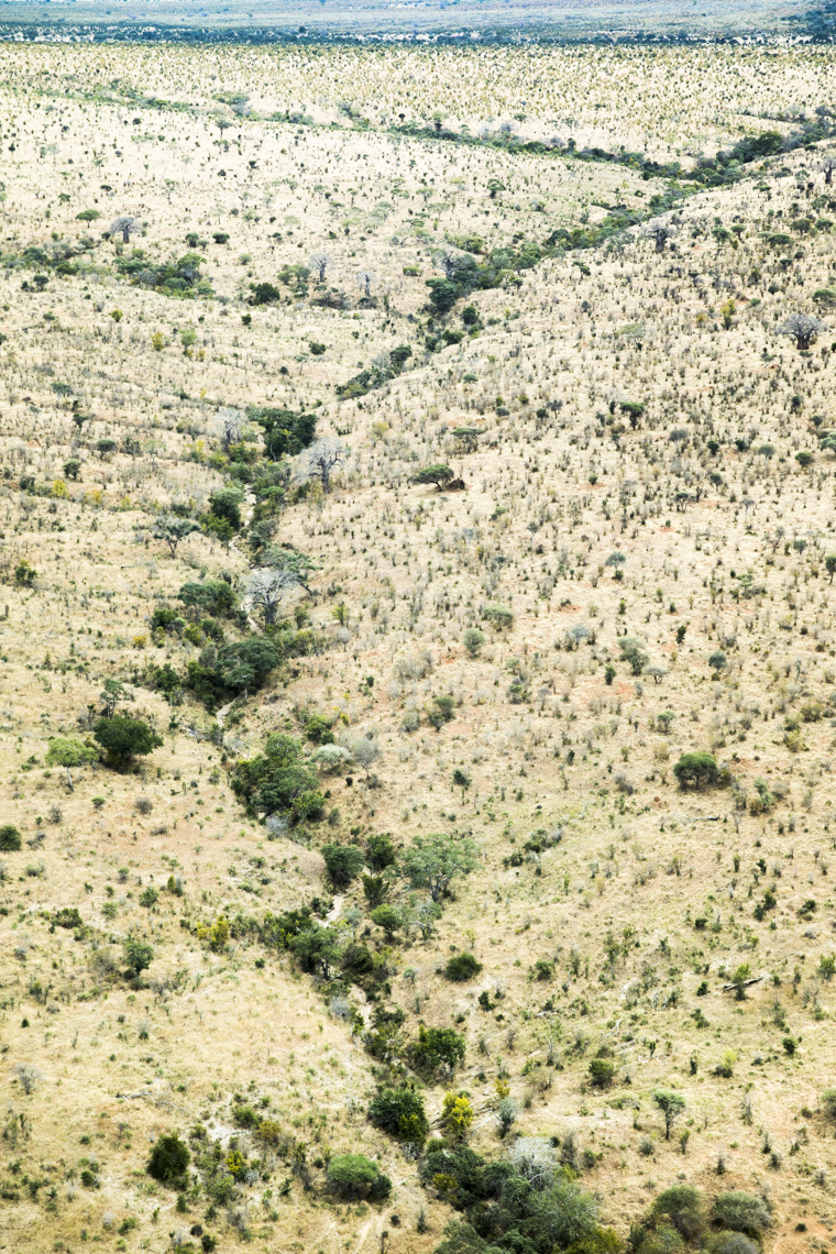 calla_fleischer_27_resize_small_color_Africa2017